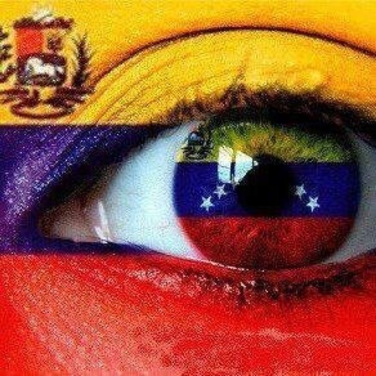 PIDH DEFENSOR ASESOR DDHH INT PARLAMENTO INTERNACIONAL DE DDHH y COMUNIDAD DE NACIONES