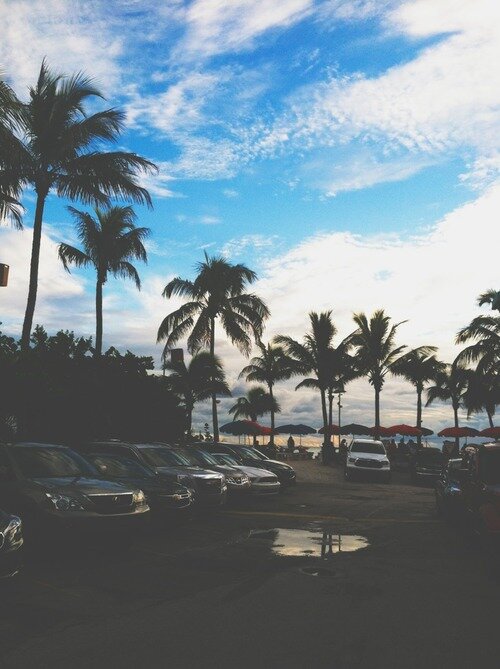 Picture
