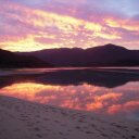 barbara holden - @barb_58 - Twitter