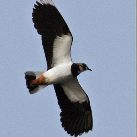 We are a friendly group of people who are interested in the natural world. Do come and meet us.