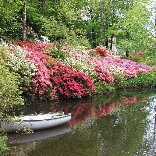 One of Devon's great gardens, open to public in spring and autumn