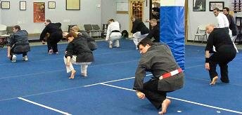 Doctorate in Neurophysiology, 7th degree black belt with 30 years in Shaolin-Do. Teaching, Forms, sparring, sweating...these are a few of my favorite things.