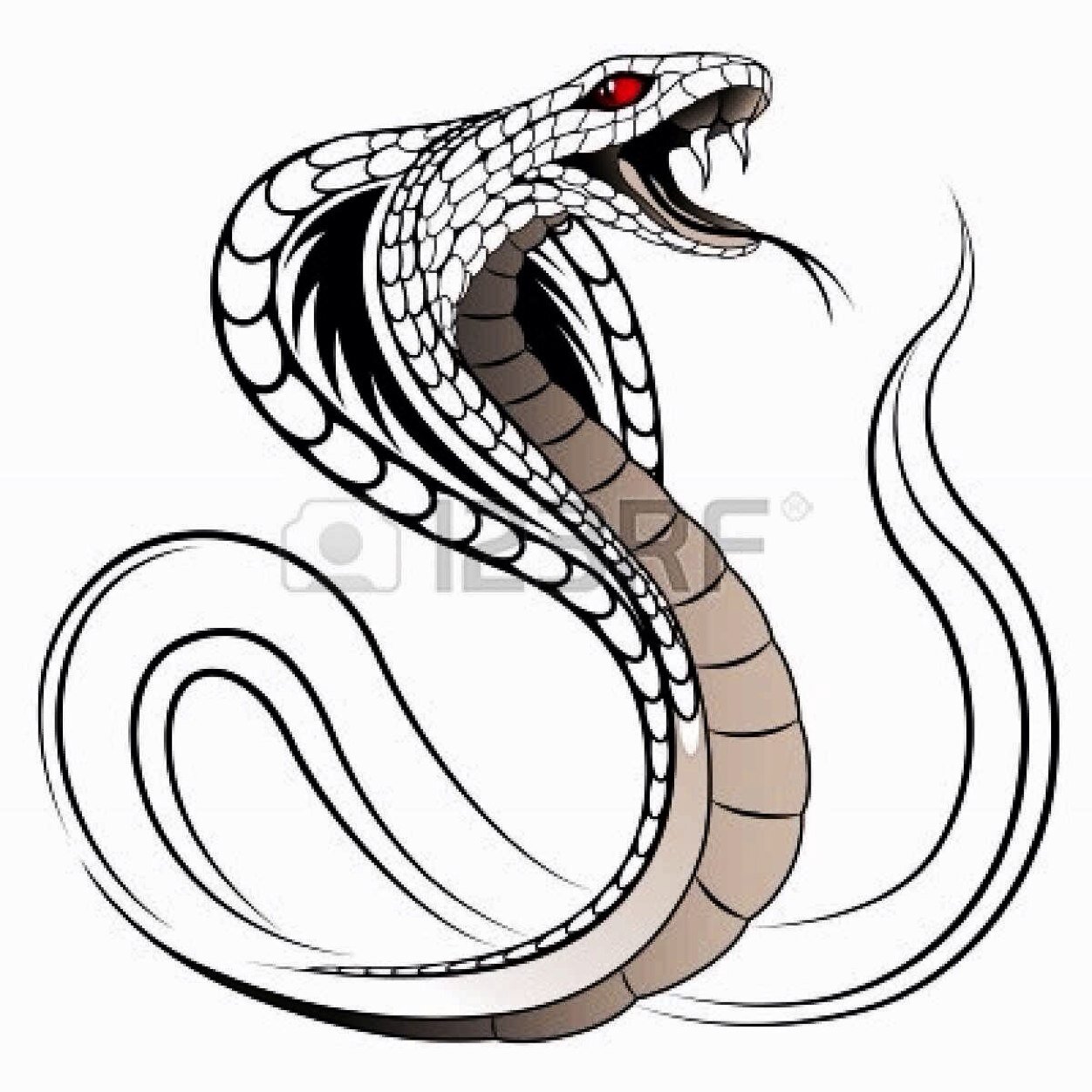 xvenomx172's profile picture. Subscribe to my youtube channel: XvenomX12 and follow me on twitter, Competetive call of duty player and player minecraft. Help me on my youtube channel!!!!!!!!