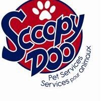 Scoopy_DooDoo's profile picture. Scoopy Doo is scooping poop in a backyard near you.  We also clean your litter boxes.  We pick up your pet's poop so you don't have to!