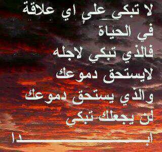 alwafe4541's profile picture. 