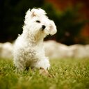 Bernadette Hunter - @iamthebenny - Twitter