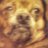 datfuqinbread's profile image