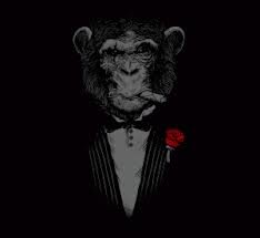 Read my tweets and I can make your mind think.
