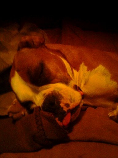 1681f177eb11490's profile picture. expectant father in may. first one