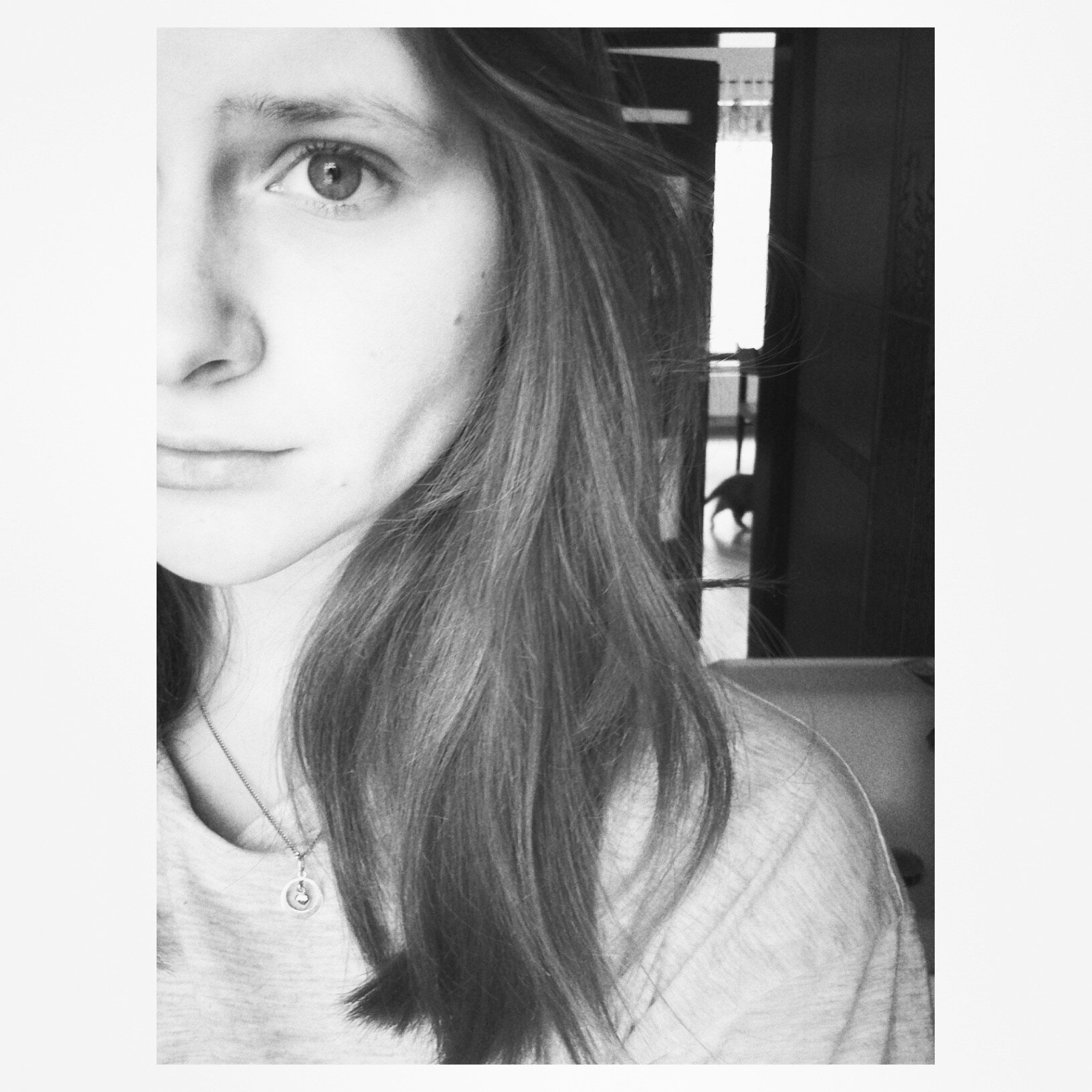 JuliaShieldd's profile picture. I'm crazy, that's good? i'm 15   Directioner,  Belieber, Ellienator, JArmy. You follow me = follow back    ♥  I LOVE YOU ALL