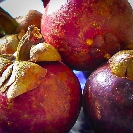 Mangosteen Daily