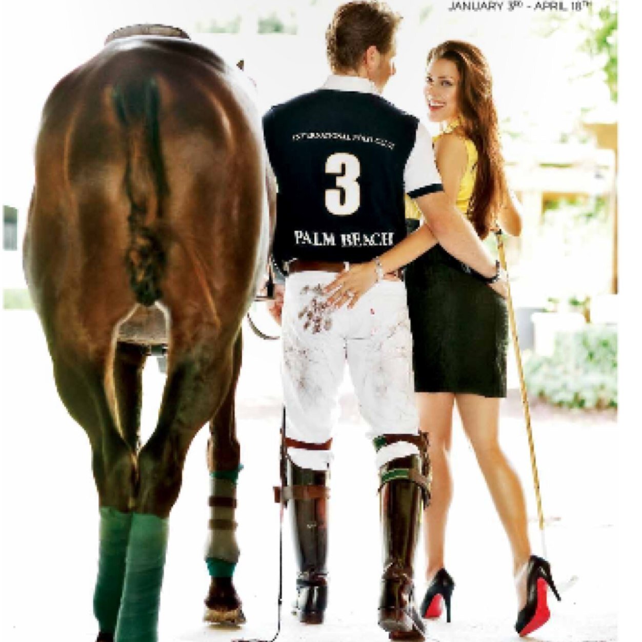 EroticEqRider's profile picture. I'm a junior eq rider that's just looking for a place to safely put my crazy thoughts out there. 17.2hh wb gelding, zone 2. Weed, alcohol, good morals✌️