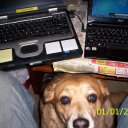 Mike Salerno - @MikeSalerno4 - Twitter