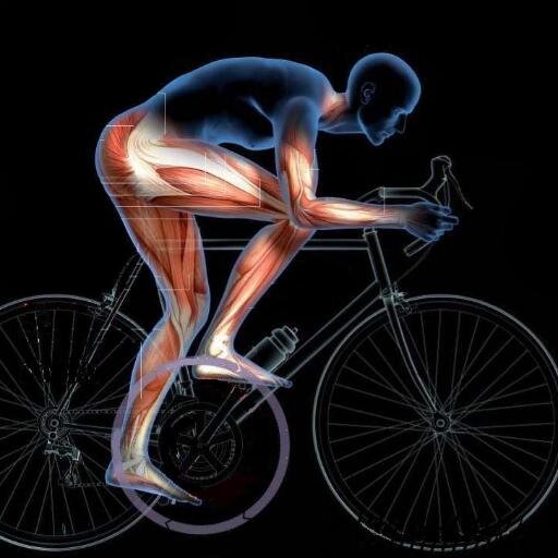 Sebici_'s profile picture. Estudios Biomecanicos del Ciclismo