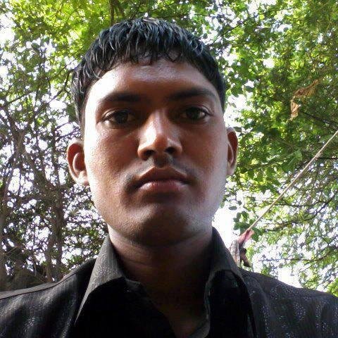 I like the cricket