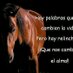 lola gordillo moreno (@gordillolola) Twitter profile photo lola gordillo moreno (@gordillolola) Twitter profile photo
