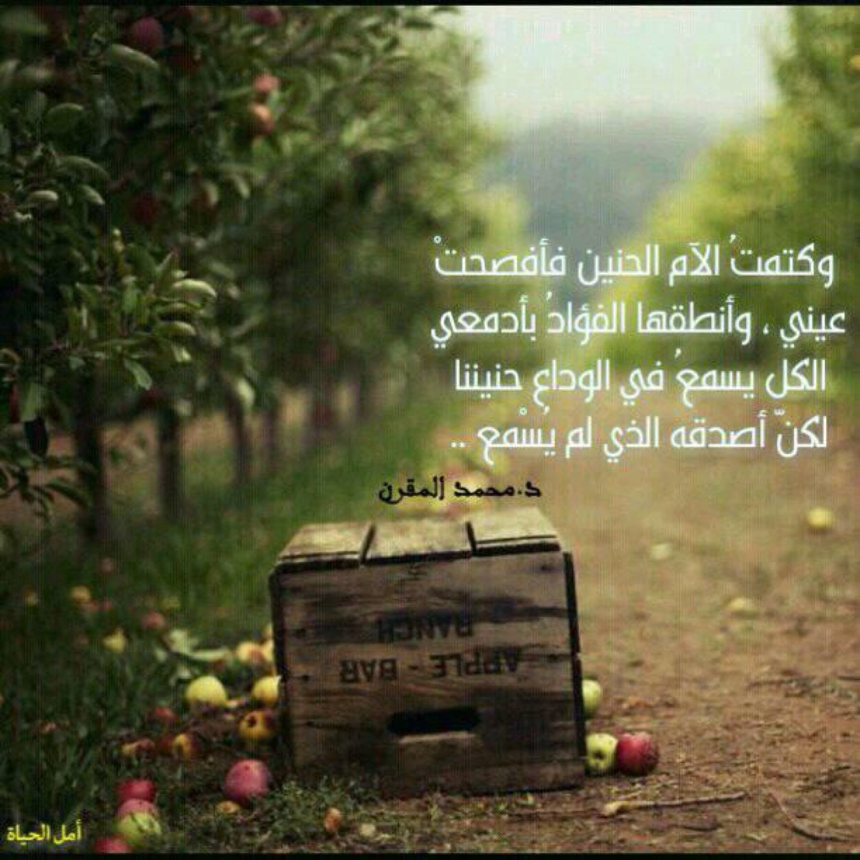 رحمك الله يا ( إيمان ) وغفر لك وجمعني وإياك في فردوسه ما أعظم فقد رفيق القرآن ...!