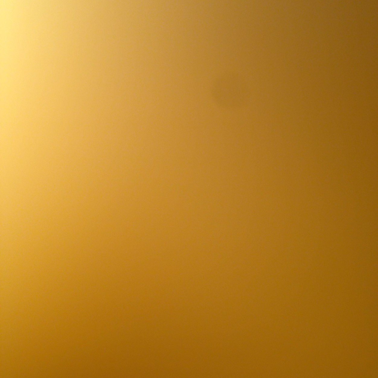 ally_ads's profile picture. 