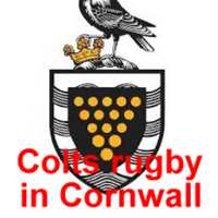 crfucolts (@crfucolts) 's Twitter Profile Photo