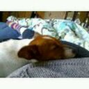 Brian Stephens (@5b5ca45c2fbf474) Twitter