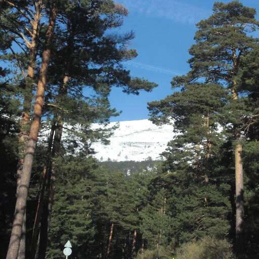 Archetype2005's profile picture. Proyectos de reforma y edificación
	Interiorismo y decoración
	Licencias de apertura
	Inspección técnica de edificios (I.T.E.S)
	Diseño y montaje de cocin