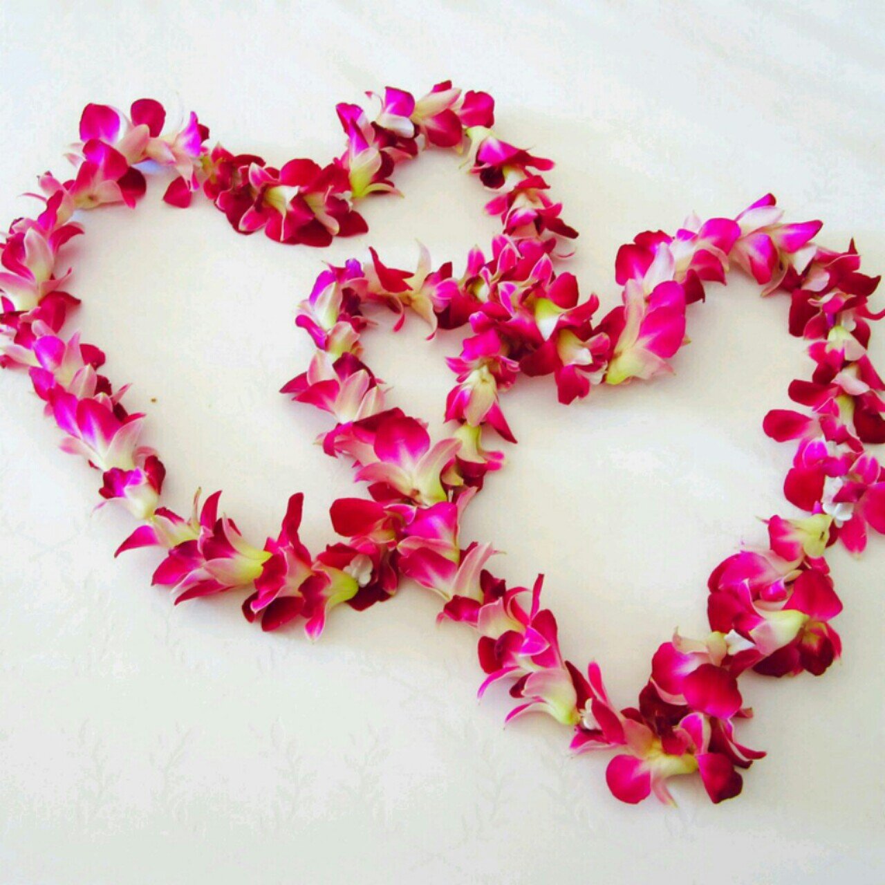 mya477's profile picture. 