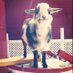TaylorBuck (@taylor_buck69) Twitter profile photo