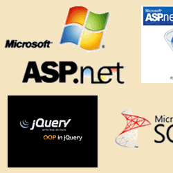 Custom Software Development Training - software development company india
