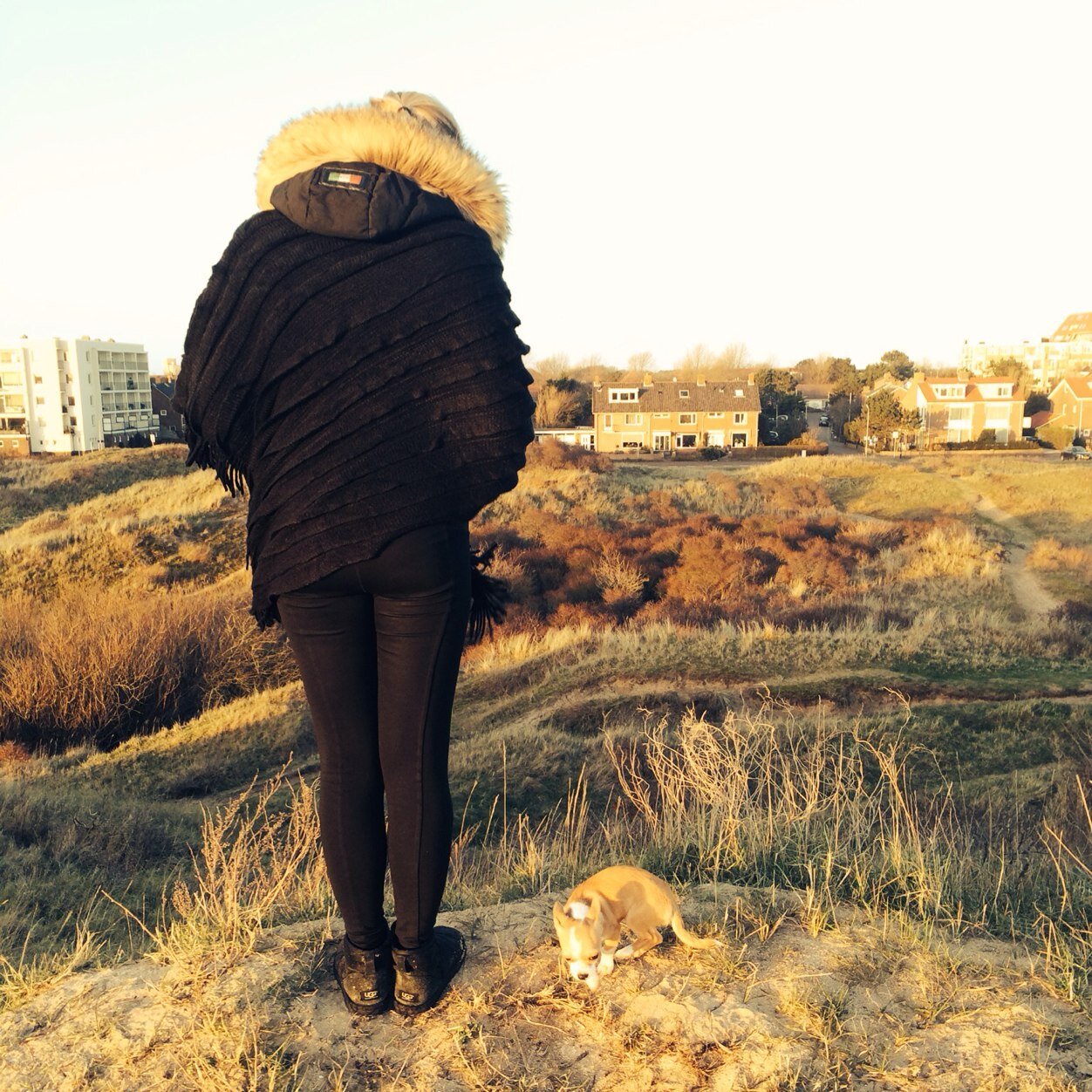 Lisavdpostx's profile picture. Over op iphone , nummer vraag maar xx