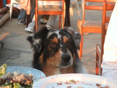 karimchaya's profile picture. never mind!