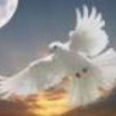 In Scripture, Prophet is one who speaks on behalf of another and, in most cases, one who speak in the name of God. My name is, Teresa Aquino
Prophet and author