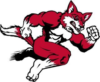Hartsville Redfox Baseball