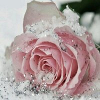 💗♡ K J♡💗 (@lattelove5) 's Twitter Profile