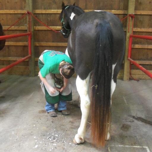 OAltvater's profile picture. 