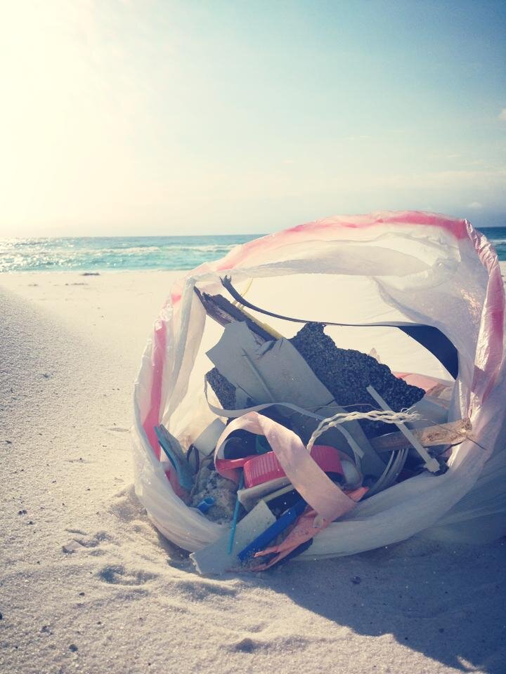 CleanPeaceFL's profile picture. Our mission is to defend our beautiful natural environment by promoting a clean, peaceful and fulfilling existence through community involvement and education.