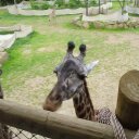 barbara singleton - @bbathsingleton - Twitter