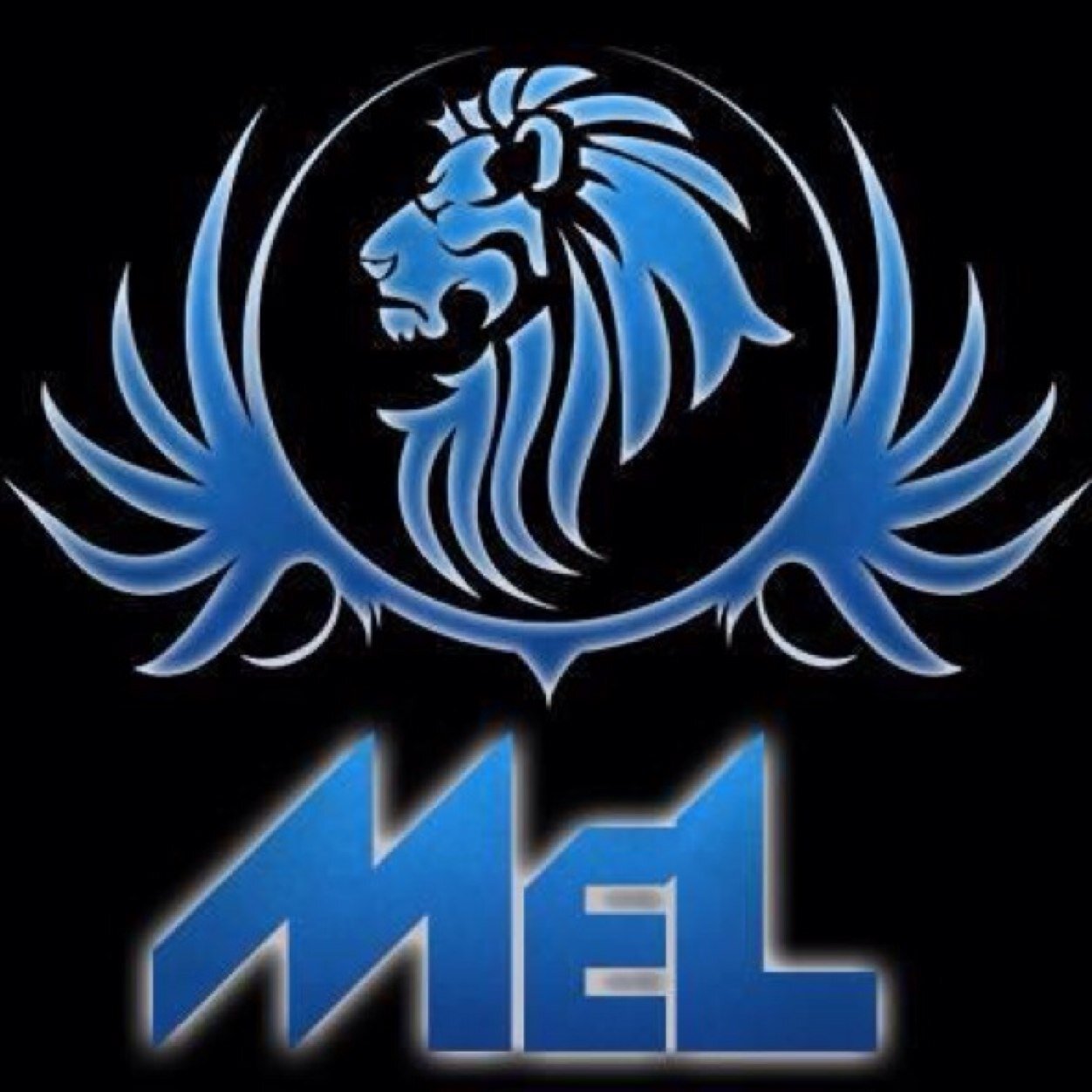 MelioristGaming's profile picture. Call of Duty Competitive Team | Officially Since Ghosts | 1x Gold, 4x Silver, 2x Bronze | Finally we gonna claim our place | E-mail: melioristgaming@hotmail.com