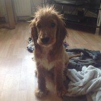 Mel West (@melwest2) 's Twitter Profile