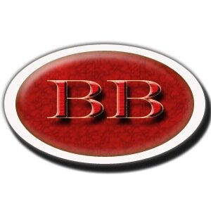 bizblitzer's profile picture. BLITZ the WEB with your BIZ