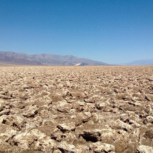 MSDN_Bill's profile picture. 