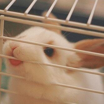 ur__beautiful_'s profile picture. i hope u smiled at this bc u look sososo beautiful when u smile !! oh wow u should smile all the time bc wow u look so damn beautiful  rn!!