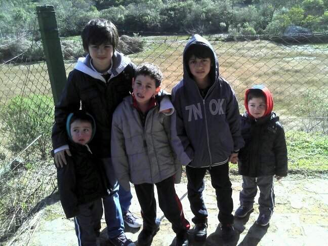 feyseadrian's profile picture. 