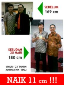 081 315 497 037 / pin:238A5AC0 / wechat : 081 315 497 037