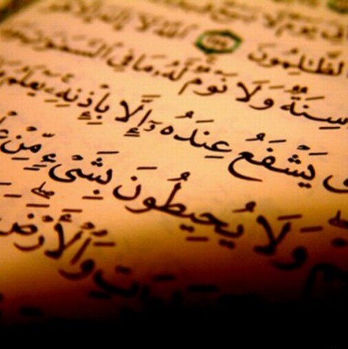 ارجو دعم الحساب صدق جارية عن امي و ابي و كل مسلم تقبل الله منكم كل عمل خير انشاء الله
(أدل على الخير كفاعله)