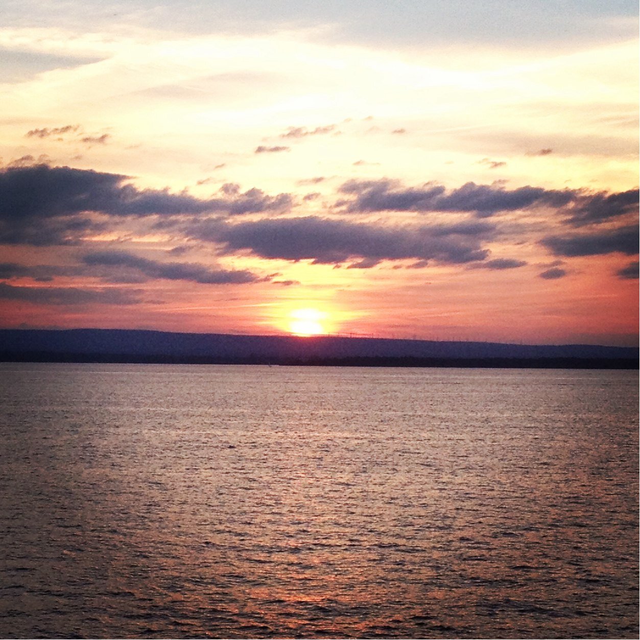 tigabeth's profile picture. Mom, Boston sports fan, Vassar grad, 🍀 rugby fan, veterinarian, #runner, and supporter of decent, kind humans