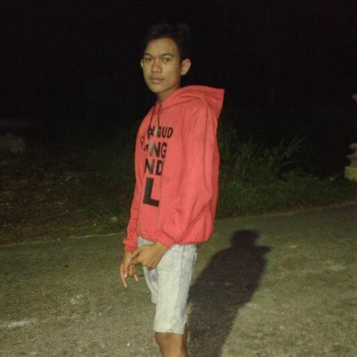 Pngeranterlelap's profile picture. 