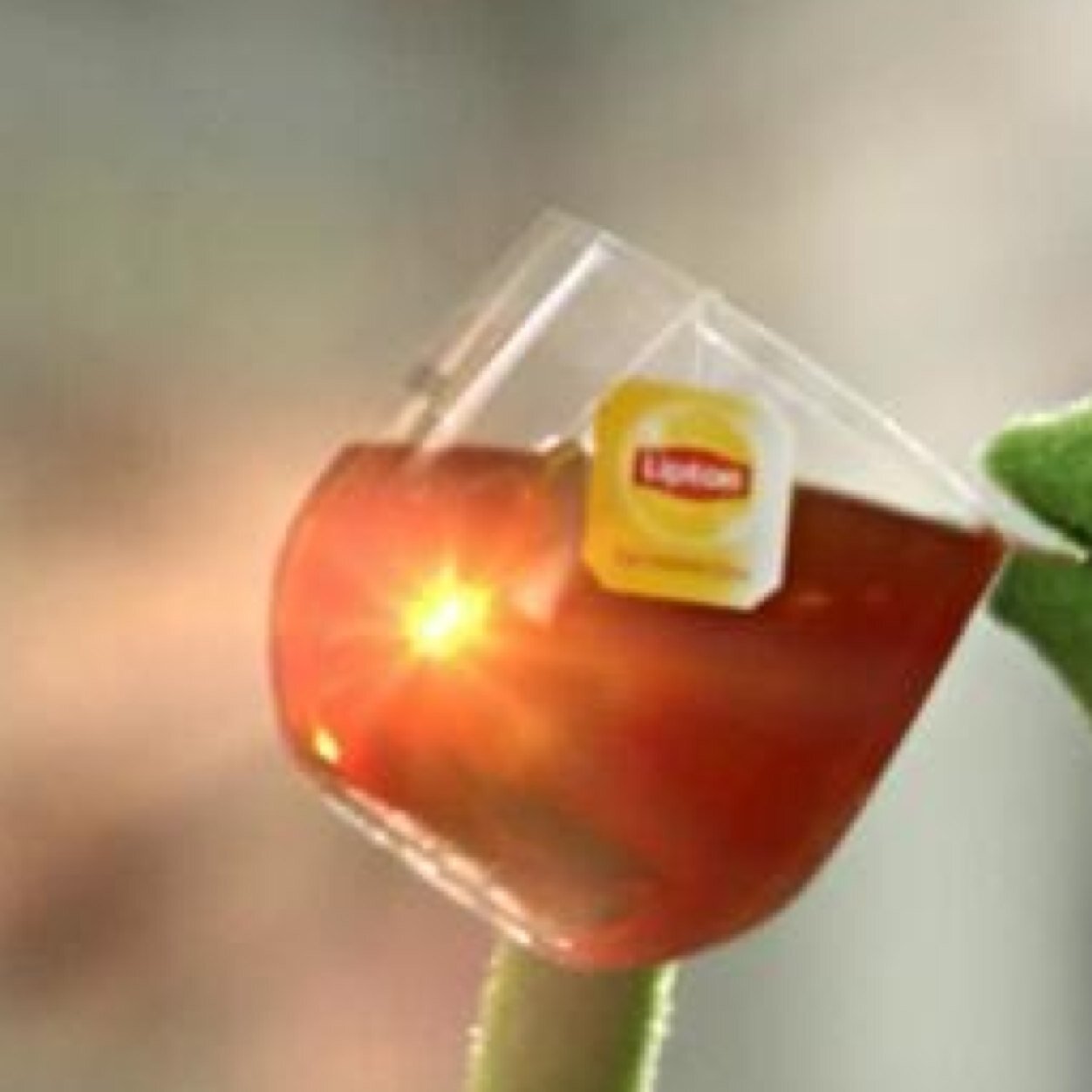 veronica_lipton's profile picture. Hi yah, im Veronica Lipton. Lover of tea & Women.