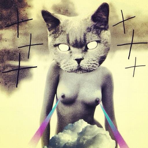 professional graphic designer and swagger