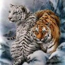 Barbara Crain - @Cherokee55Crain - Twitter