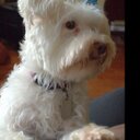 Barb Simmons - @mcegifts - Twitter